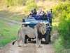 Kariega Main Lodge - Activities 